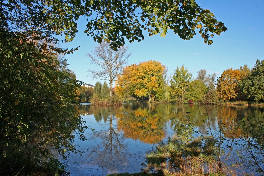 Stadtpark-Weiher