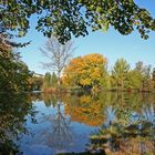 Stadtpark-Weiher