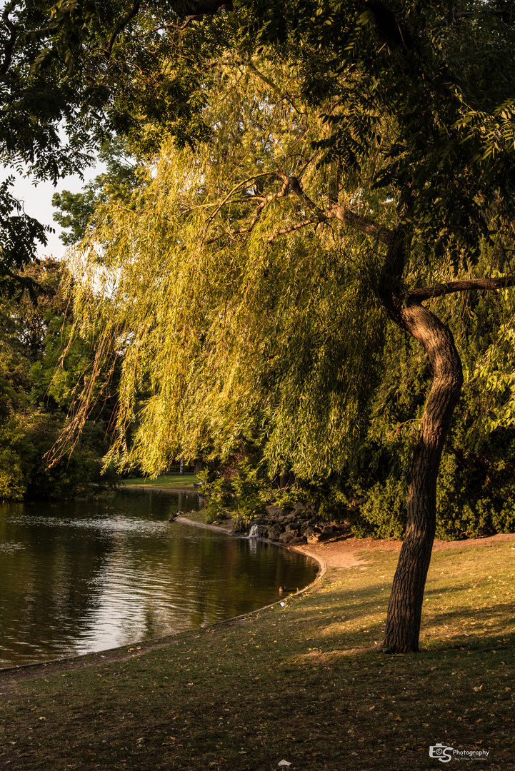 Stadtpark Wien