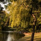 Stadtpark Wien