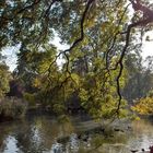 Stadtpark Wien