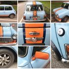 Stadtparkfund: MINI COOPER