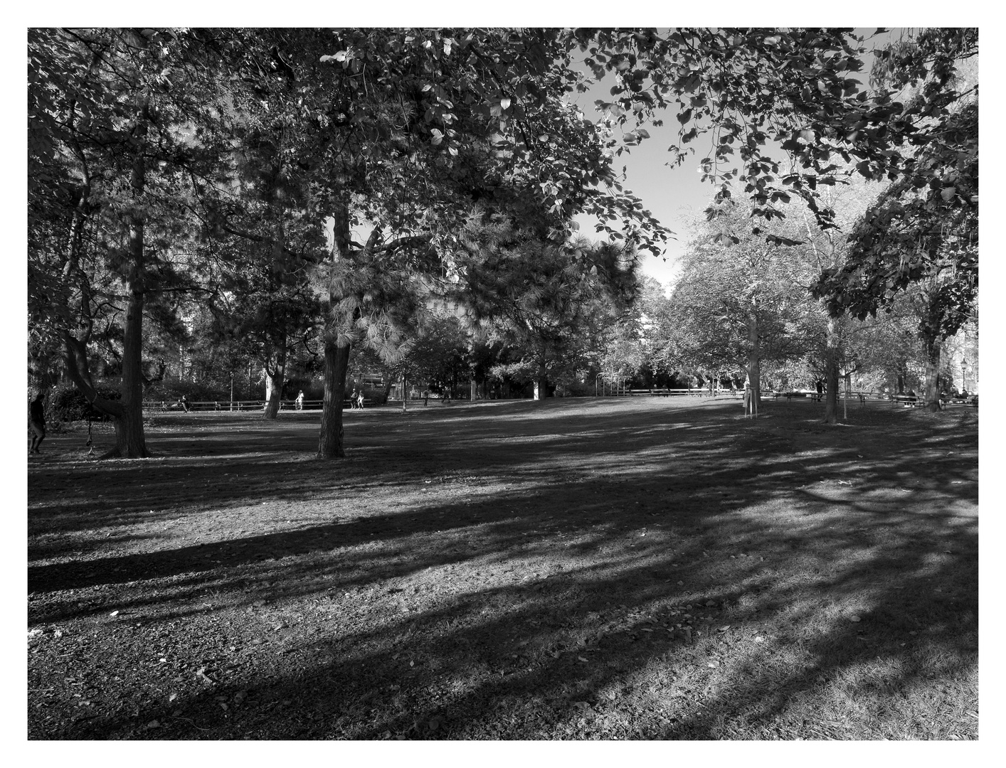 stadtparkschatten...