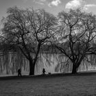 Stadtparksee