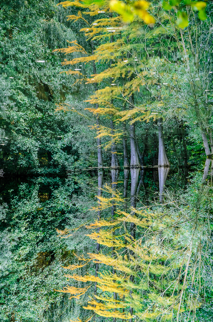 Stadtparksee im Herbst