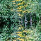 Stadtparksee im Herbst