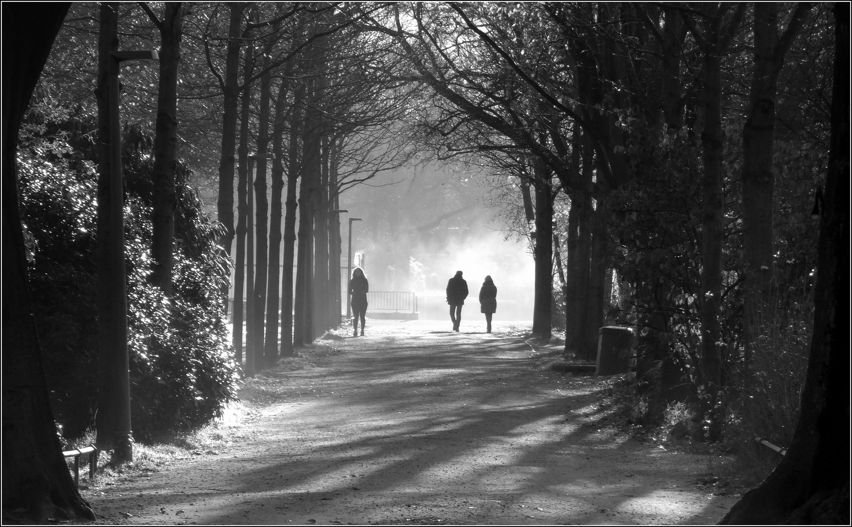 Stadtpark...Spaziergang