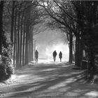 Stadtpark...Spaziergang