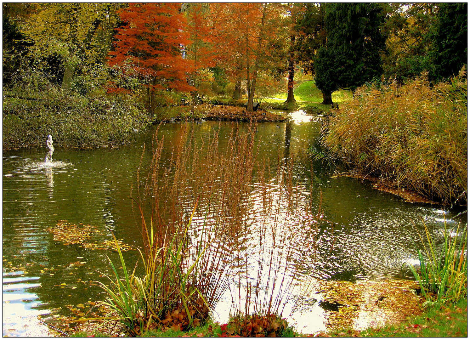 Stadtparkteich im Herbst