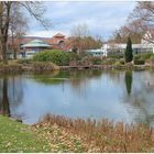 Stadtparkteich in Reinhardshausen