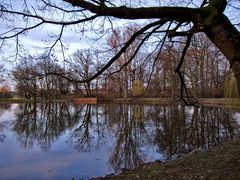 Stadtparkweiher