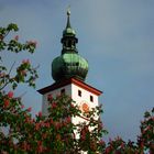 Stadtpfarrkirche Tirschenreuth - 23. Mai 2016