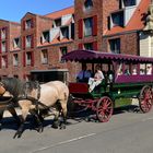 Stadtrundfahrt durch Lüneburg