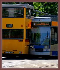 Stadtrundfahrten sind immer etwas besonderes