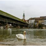 Stadtrundgang in Olten ...