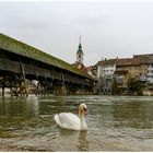 Stadtrundgang in Olten ...