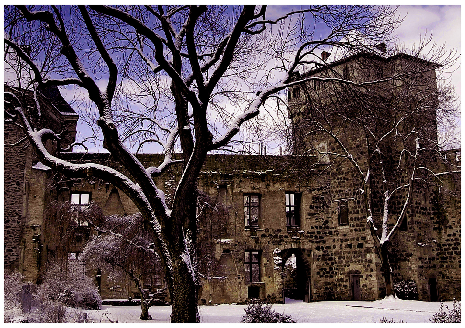 Stadtschloss Andernach