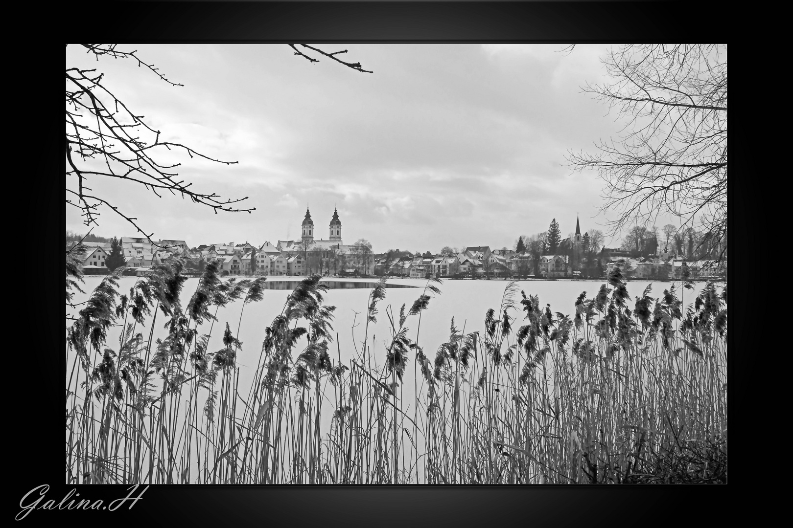 Stadtsee Bad Waldsee S/W