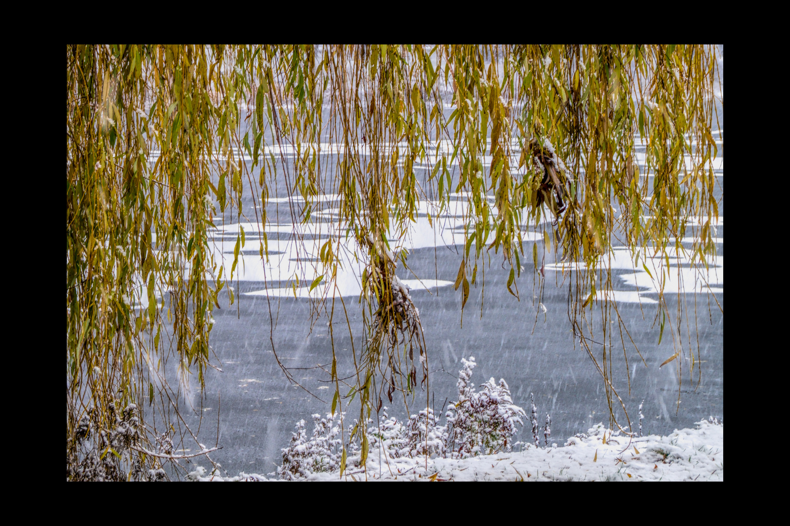 Stadtsee im ersten Schnee