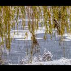 Stadtsee im ersten Schnee