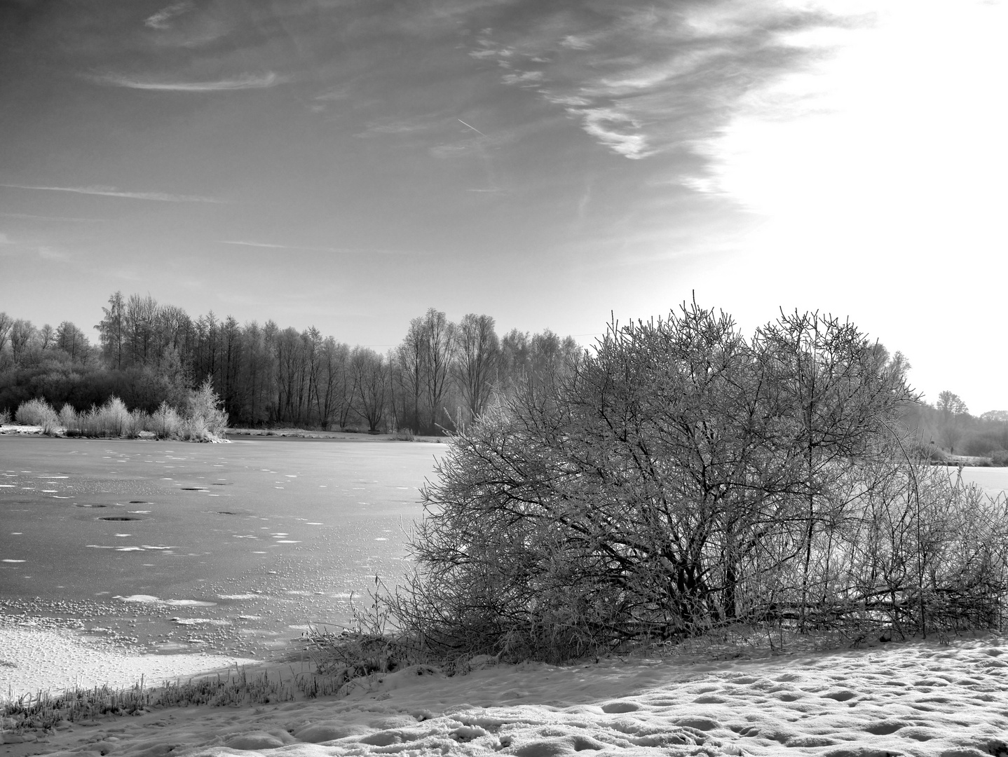 Stadtsee Sulingen