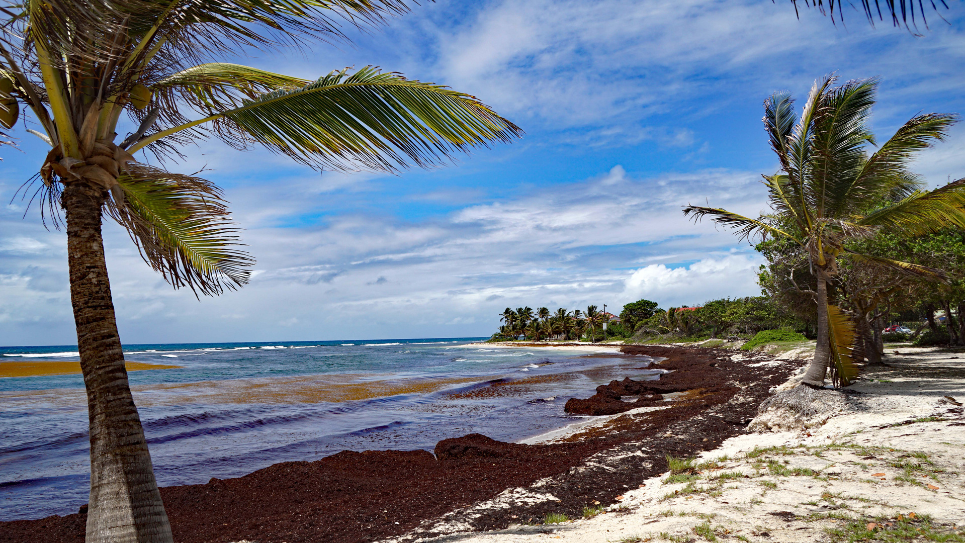 Stadtstrand Saint-Francois