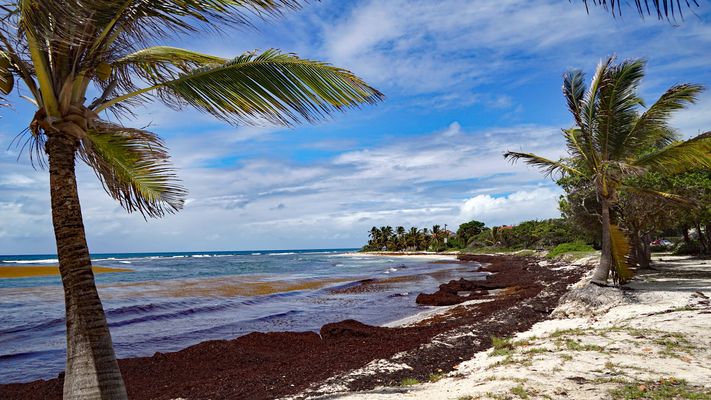 Stadtstrand Saint-Francois