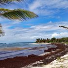 Stadtstrand Saint-Francois