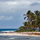 Stadtstrand Saint-Francois