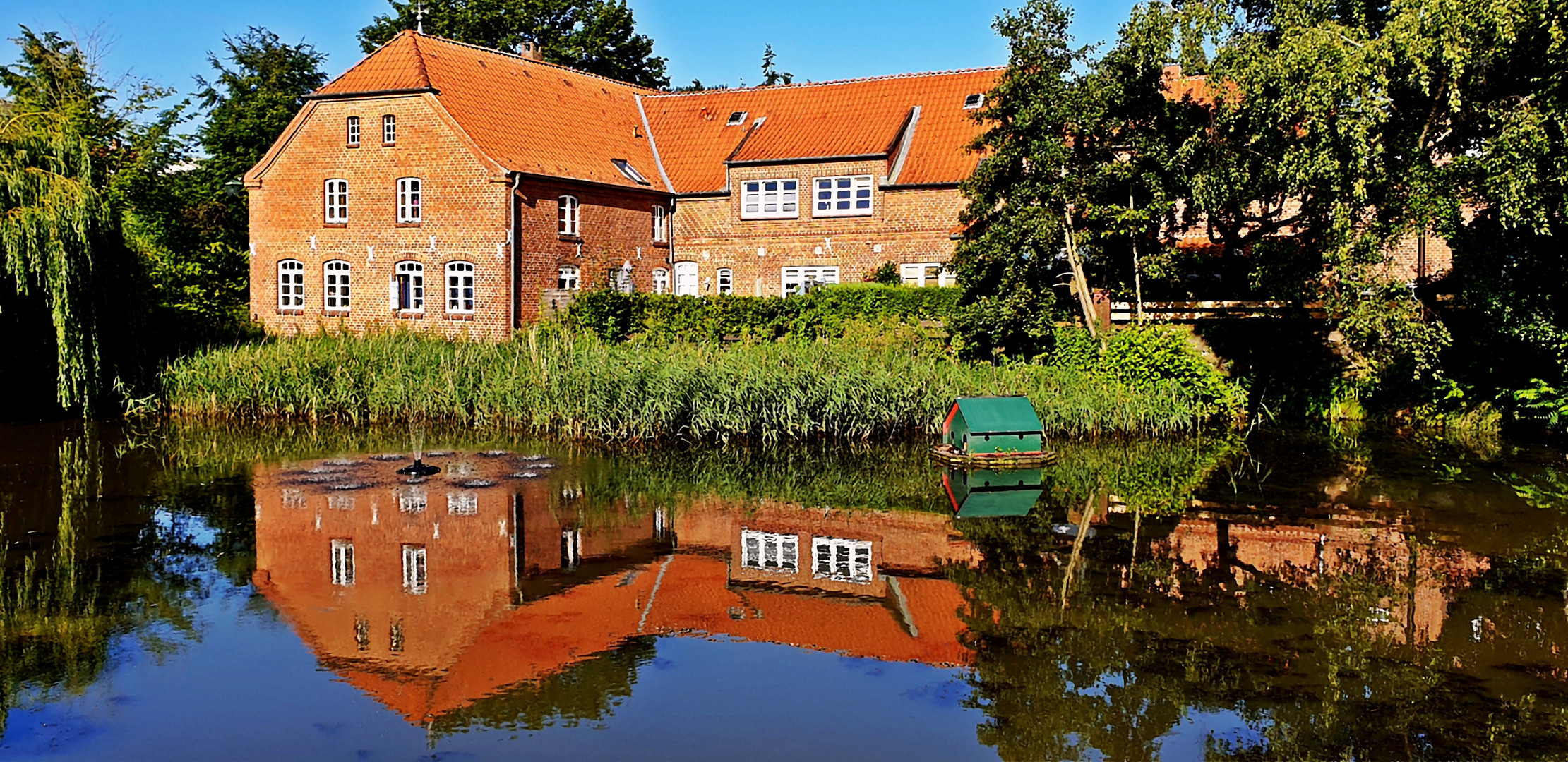 Stadtteich in Lütjenburg   -   neu