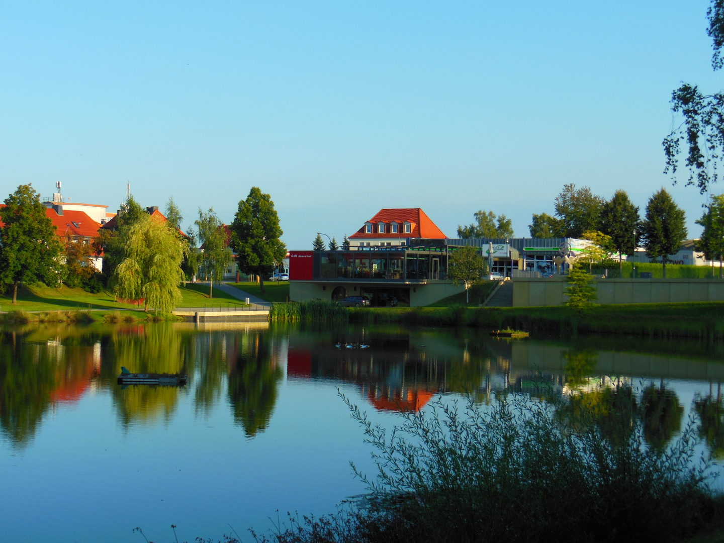 Stadtteich Leinefelde