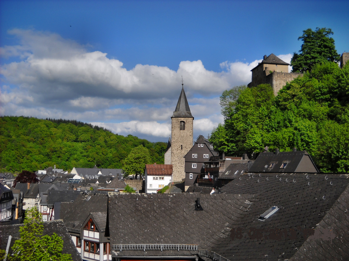 Stadtteil von Dillenburg mit Schlossanlage