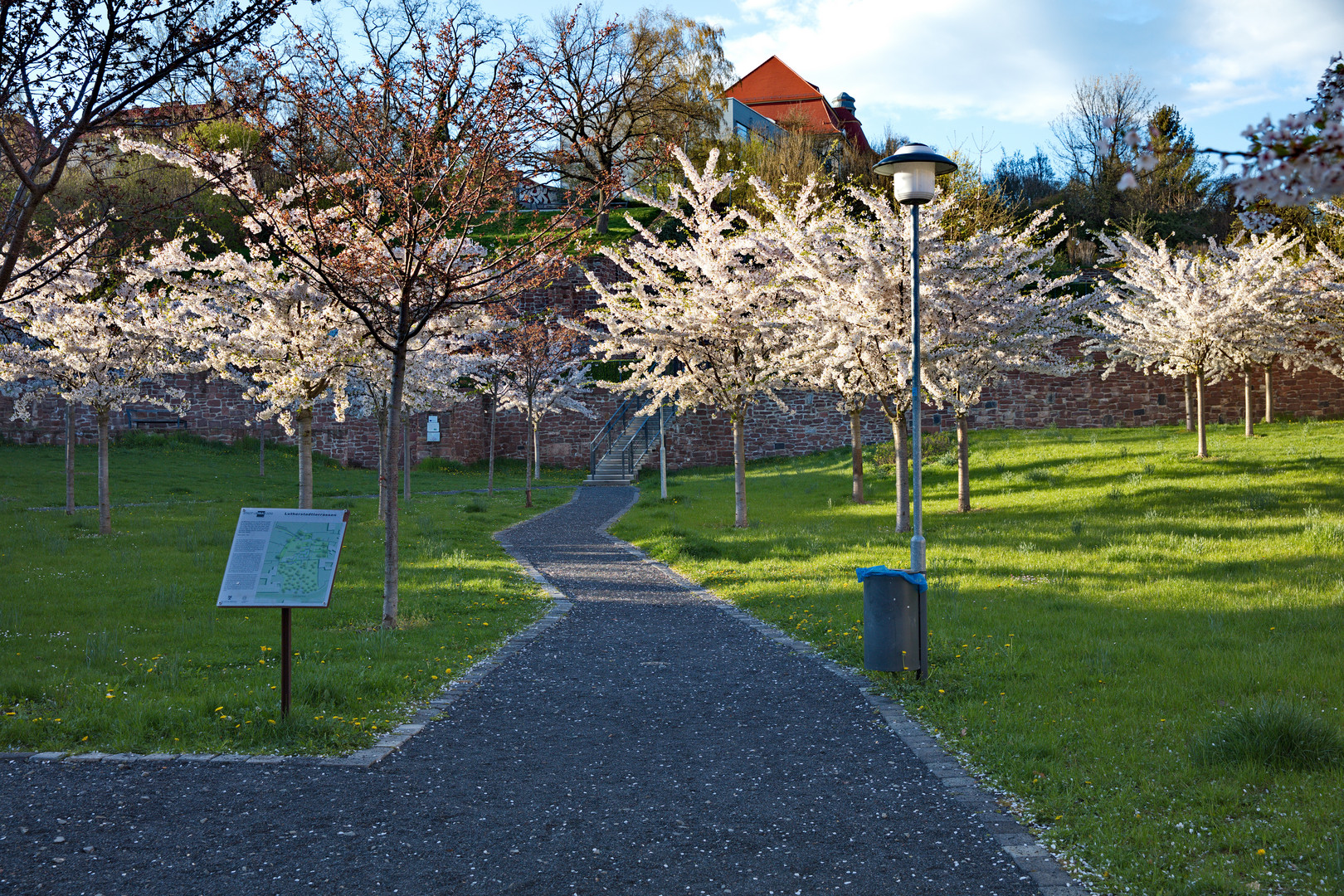 Stadtterrassen der Lutherstadt Eisleben