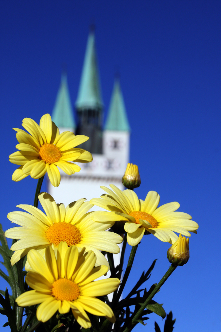 Stadtturm Straubing