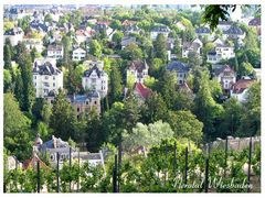 Stadtvillen -reloaded-