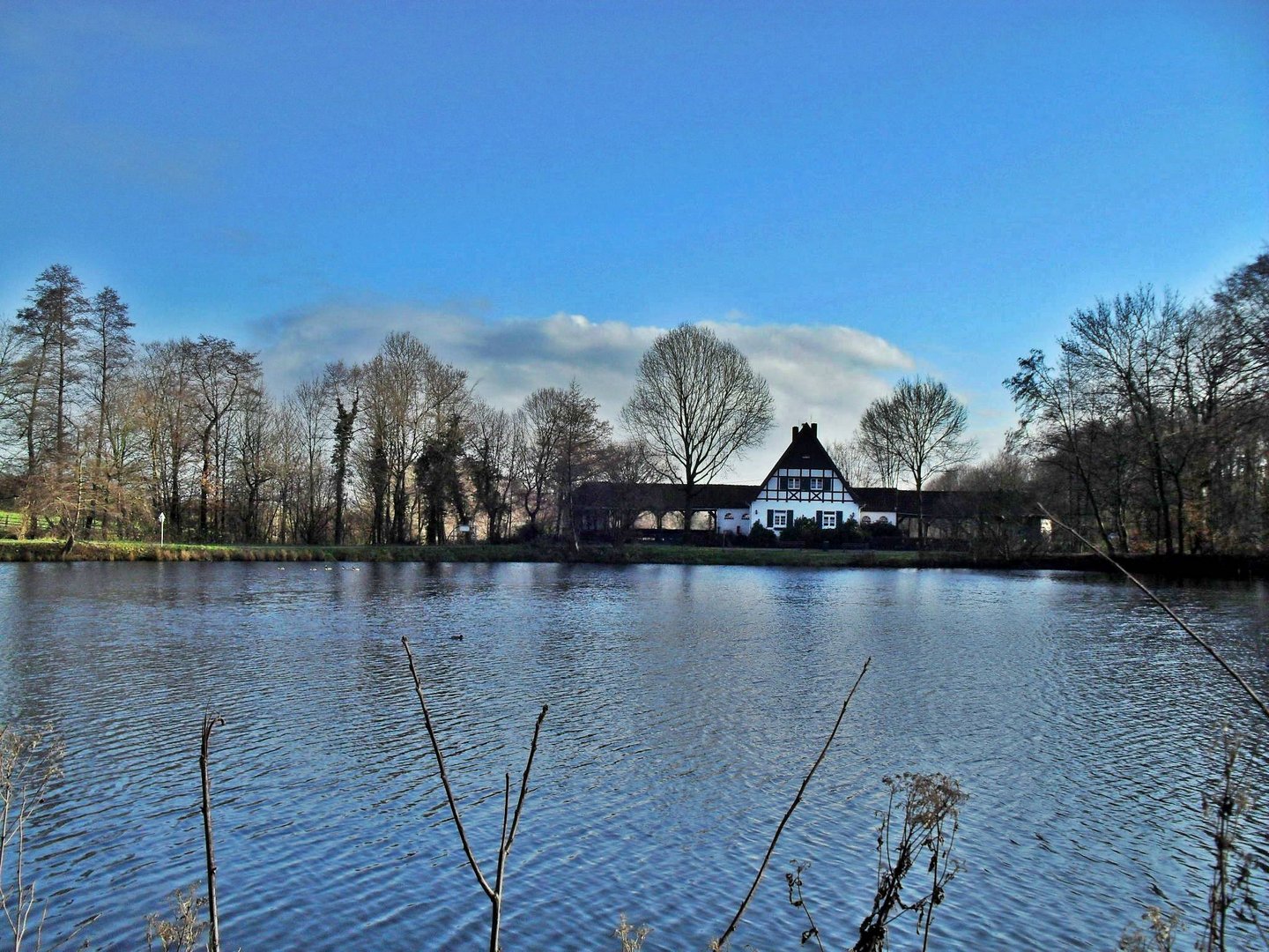 stadtwald gelsenkirchen buer Foto & Bild landschaft, bach, fluss