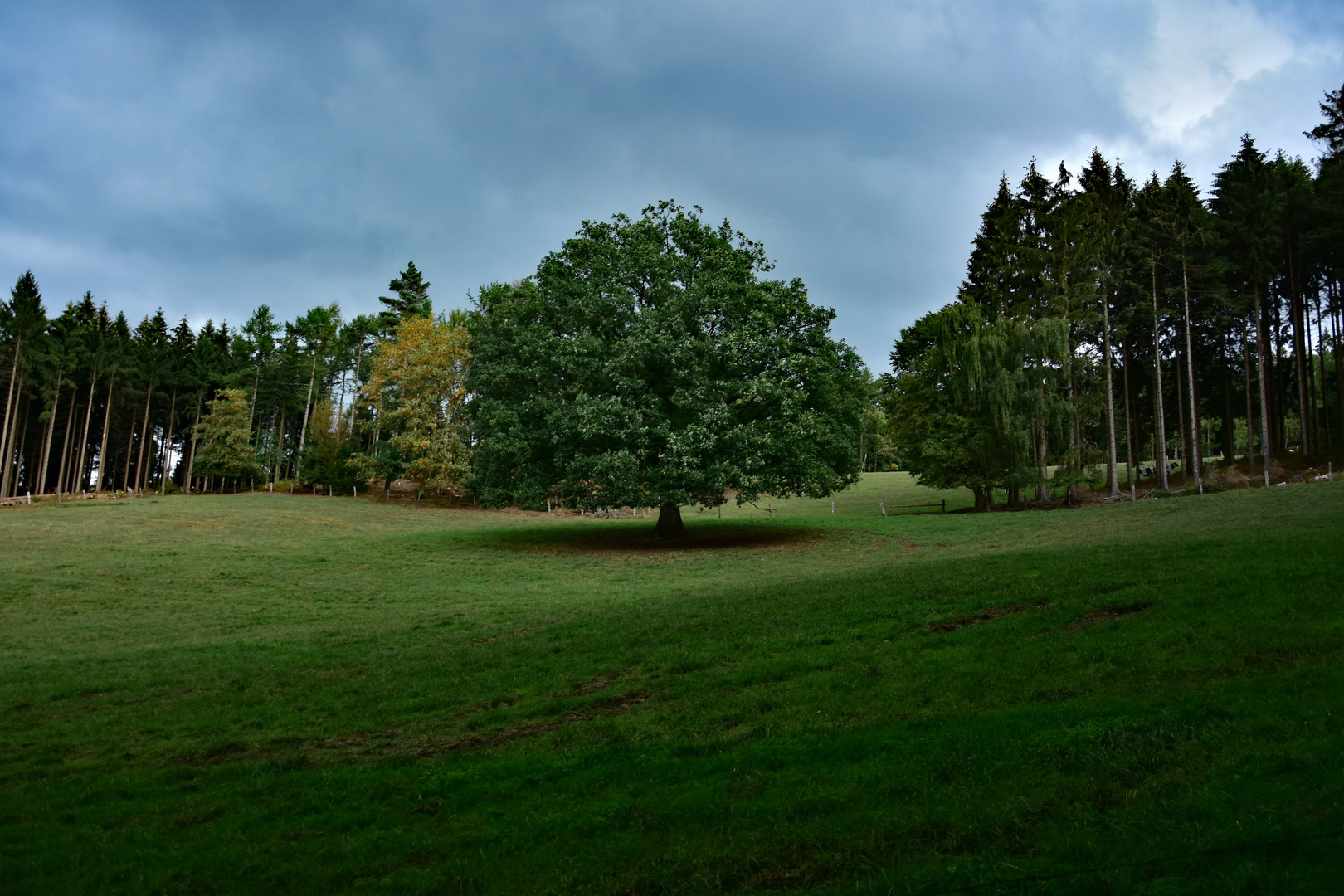 Stadtwald Georgsmarienhütte