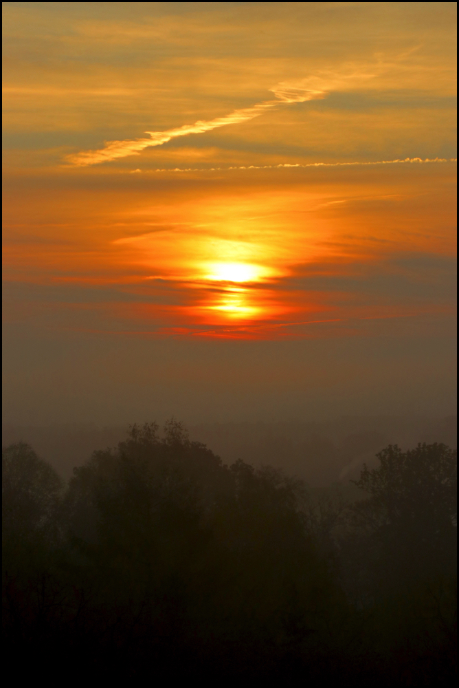 ... Stadtwald, Nebel, Sonne, Himmel ...