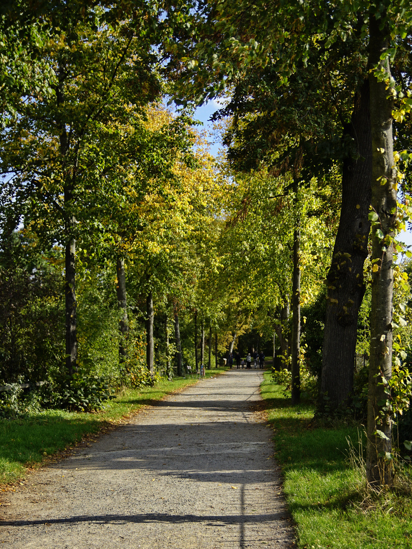 Stadtwall Göttingen