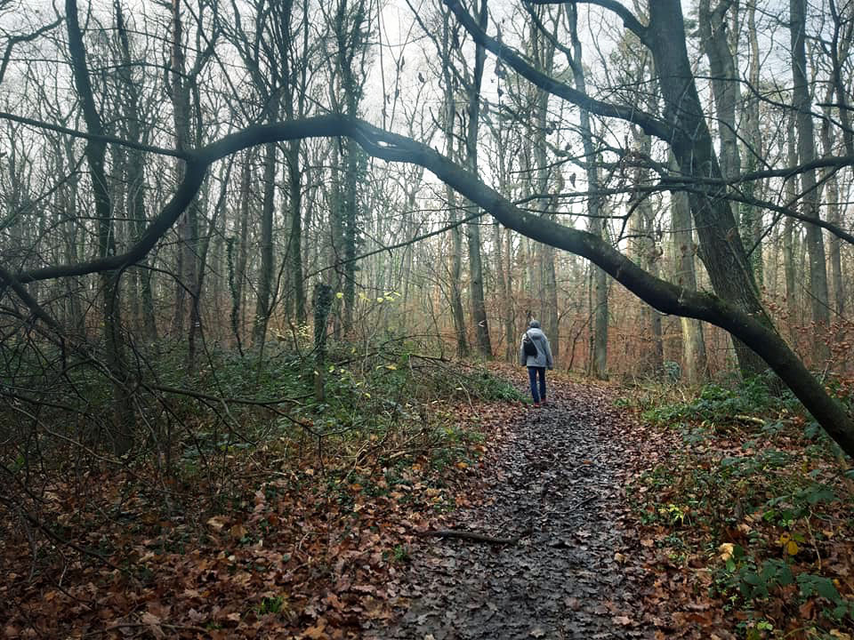 Stadtwanderweg Wienrundumadum