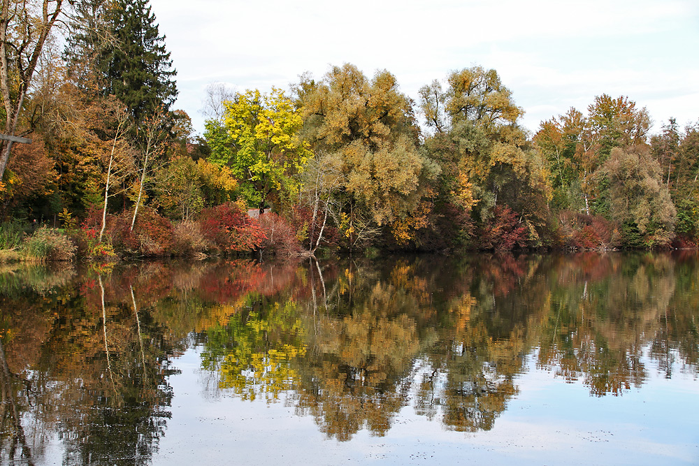 Stadtweiher bei Leutkirch