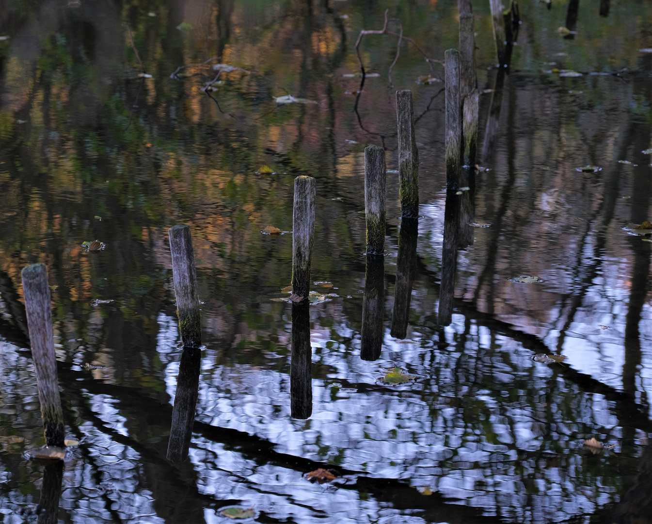 Stäbe im Wasser 