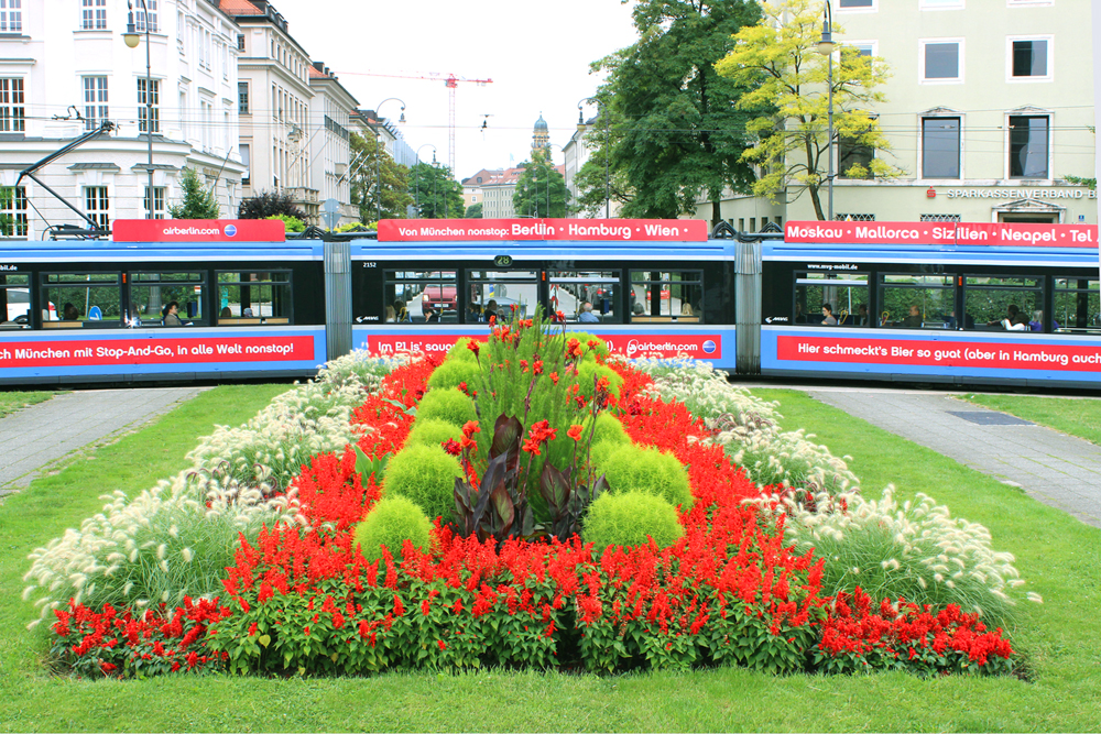 städtische Bepflanzung am Karolinenplatz München