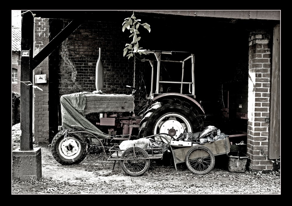 städtische Landwirtschaft