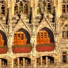 Städtische M.-Blumen am Rathaus