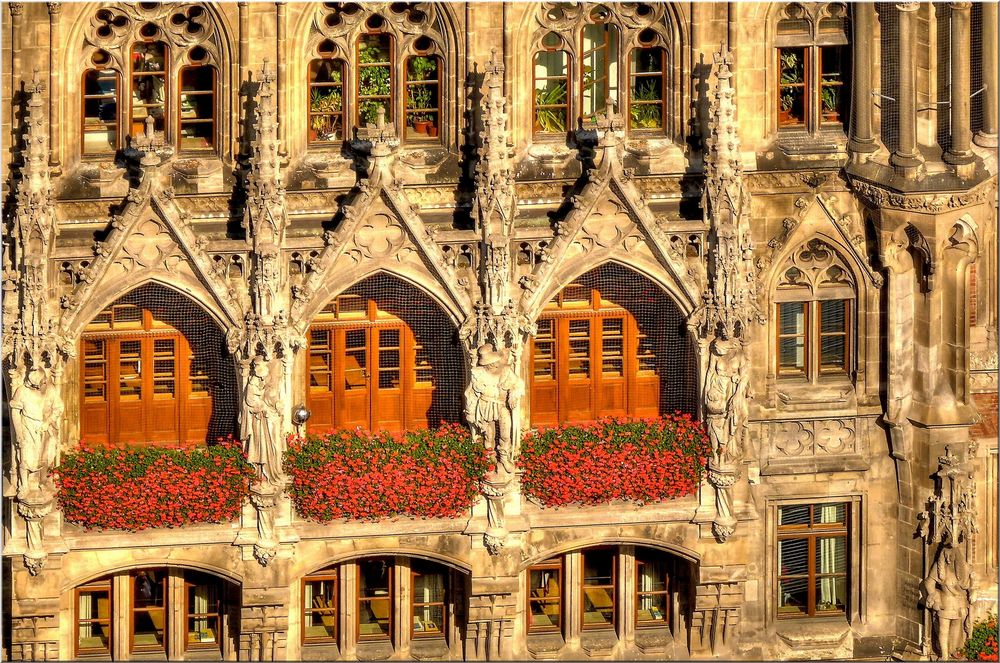 Städtische M.-Blumen am Rathaus