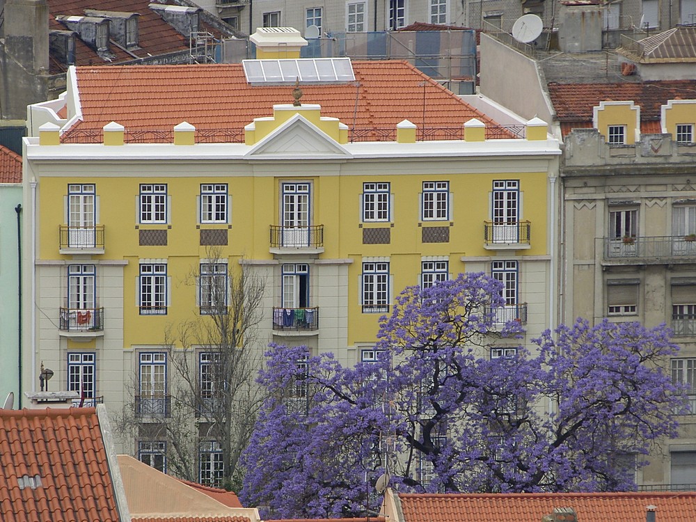 Städtisches Farbenspiel - Altstadt von Lissabon, Portugal