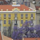 Städtisches Farbenspiel - Altstadt von Lissabon, Portugal