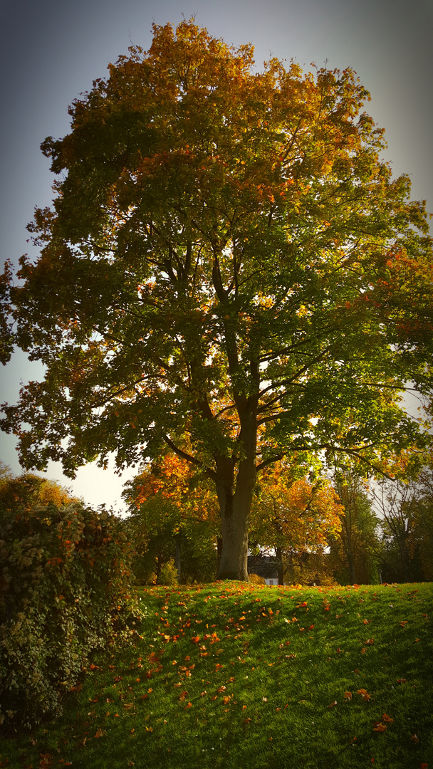 städtlicher Herbst