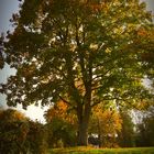 städtlicher Herbst